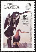 Colnect-1462-479-American-Darter-Anhinga-anhinga-.jpg