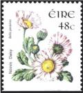 Colnect-1927-593-Common-Daisy-Bellis-perennis.jpg