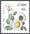 Colnect-1927-755-Common-Daisy-Bellis-perennis.jpg