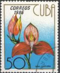 Colnect-2038-337-Disa-uniflora.jpg