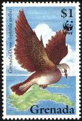 Colnect-2192-560-Grenada-Dove-Leptotila-wellsi.jpg