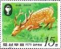 Colnect-2520-026-Sika-Deer-Cervus-nippon.jpg