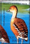 Colnect-4116-726-Fulvous-Whistling-Duck%C2%A0%C2%A0%C2%A0%C2%A0Dendrocygna-bicolor.jpg