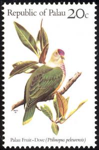 Colnect-1637-964-Palau-Fruit-dove-Ptilinopus-pelewensis.jpg