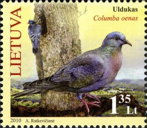 Colnect-1277-150-Stock-Dove-Columbia-oenas.jpg