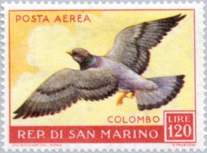 Colnect-169-880-Rock-Dove-Columba-livia.jpg