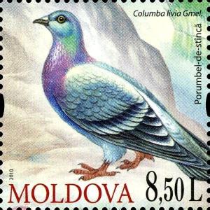 Colnect-2617-948-Rock-Dove-Columba-Livia.jpg