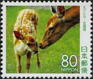 Colnect-4006-847-Sika-Deer-Cervus-nippon.jpg