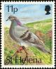 Colnect-1661-832-Rock-Dove-Columba-livia.jpg