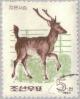 Colnect-2613-470-Sika-deer-Cervus-nippon.jpg