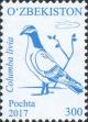 Colnect-4381-500-Rock-Dove-Columba-livia.jpg