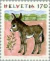 Colnect-141-219-Donkey-Equus-asinus-asinus.jpg