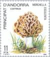 Colnect-142-588-Morchella-esculenta-Common-morel.jpg