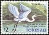 Colnect-1458-502-Intermediate-Egret-Mesophoyx-intermedia.jpg