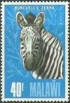 Colnect-1732-894-Burchell%E2%80%99s-Zebra-Equus-quagga-burchellii.jpg