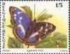 Colnect-2702-189-Purple-Emperor-Apatura-iris.jpg