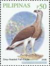 Colnect-2876-056-Grey-headed-Fish-Eagle-Ichthyophaga-ichthyaetus.jpg