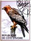 Colnect-3444-446-Booted-Eagle-Aquila-pennata.jpg