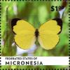 Colnect-3511-231-Eurema-alitha.jpg