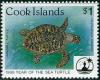 Colnect-4066-756-Hawksbill-turtle-Eretmochelys-imbricata-in-water.jpg