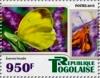 Colnect-4923-627-Eurema-hecabe.jpg