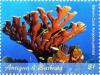 Colnect-6436-312-Elkhorn-Coral.jpg