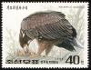 Colnect-723-055-Steller-s-Sea-eagle-Haliaeetus-pelagicus.jpg