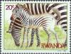 Colnect-872-126-Plains-Zebra-Equus-burchelli.jpg