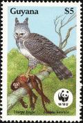 Colnect-1664-161-Harpy-Eagle-Harpia-harpyja.jpg