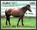 Colnect-2256-004-Horse-Equus-ferus-caballus.jpg