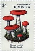 Colnect-2291-853-Emetic-Russula.jpg