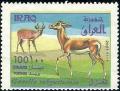 Colnect-2557-839-Goitered-Gazelle-Gazella-subgutturosa-.jpg