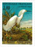 Colnect-2668-159-Snowy-Egret-Egretta-thula.jpg