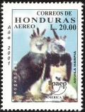 Colnect-4260-464-Harpy-Eagle-Harpia-harpyja.jpg