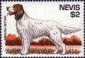 Colnect-4411-194-English-setter.jpg