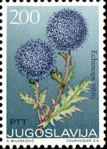 Colnect-5493-416-Echinops-Ritro.jpg