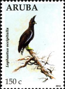 Colnect-6028-756-Long-crested-Eagle-Lophaetus-occipitalis.jpg