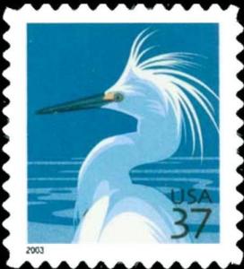 Colnect-4190-525-Snowy-Egret-Egretta-thula.jpg