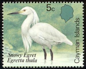 Colnect-1407-213-Snowy-Egret-Egretta-thula.jpg