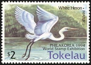 Colnect-1458-502-Intermediate-Egret-Mesophoyx-intermedia.jpg