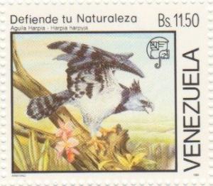 Colnect-1743-148-Harpy-Eagle-Harpia-harpyja.jpg