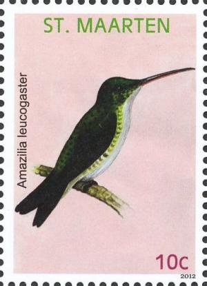 Colnect-2624-027-Plain-bellied-Emerald-Amazilia-leucogaster.jpg