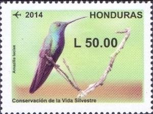 Colnect-2997-890-Honduran-Emerald-Amazilia-luciae.jpg