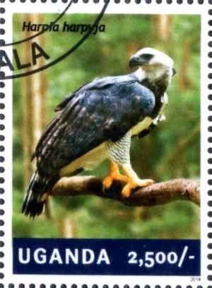 Colnect-3438-334-Harpy-Eagle-Harpia-harpyja.jpg