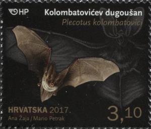 Colnect-4727-890-Mediterranean-Long-eared-Bat-Plecotus-kolombatovici.jpg