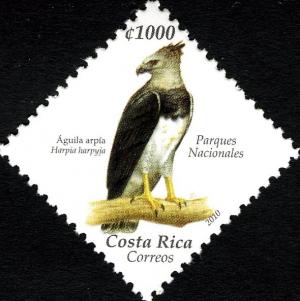 Colnect-5120-980-Harpy-Eagle-Harpia-harpyja.jpg