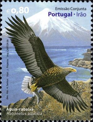 Colnect-596-655-White-tailed-Eagle-Haliaeetus-albicilla.jpg