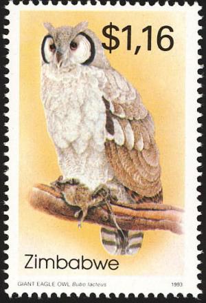 Colnect-860-634-Verreaux-s-Eagle-owl%C2%A0Bubo-lacteus.jpg