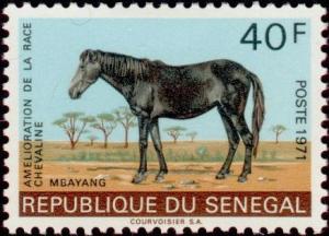 Colnect-987-856-Mbayang-Equus-ferus-caballus.jpg