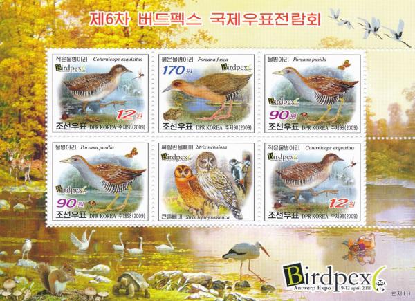 Colnect-3326-951-International-Stamp-Exhibition-BIRDPEX-6-Antwerp-2010.jpg